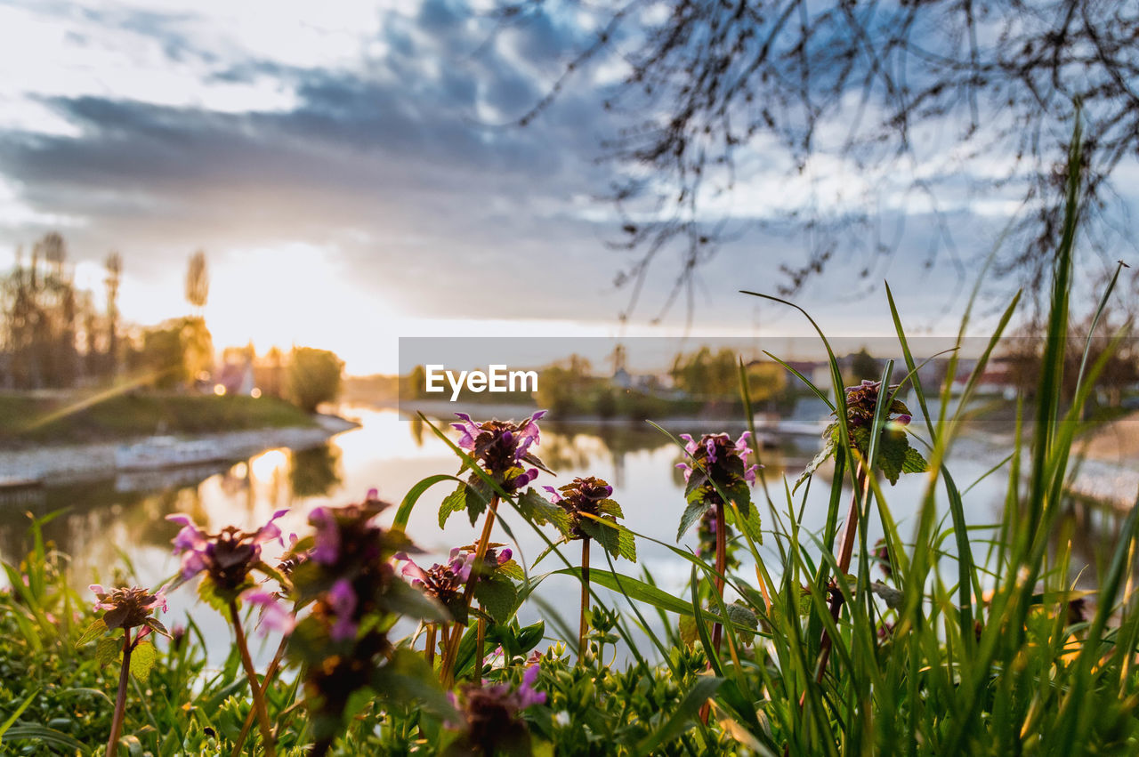 Scenic view of lake against cloudy sky