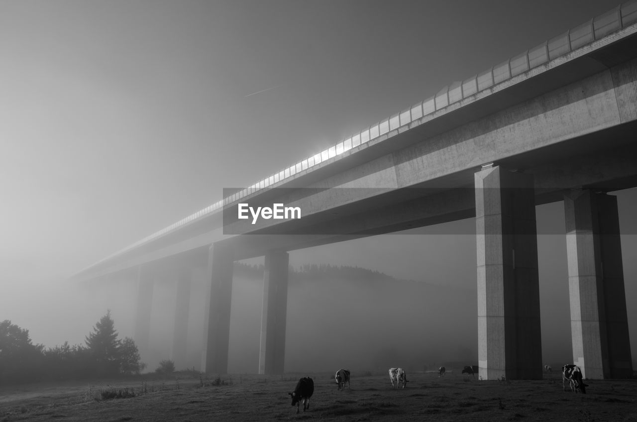 View of bridge in foggy weather