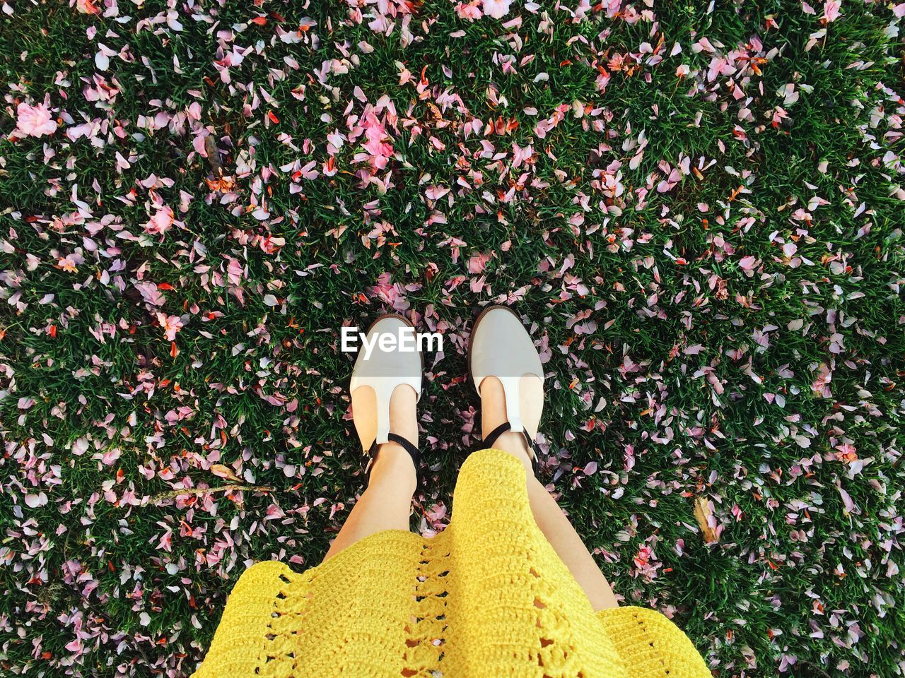 Low section of woman standing on fallen flower petals on grass in park
