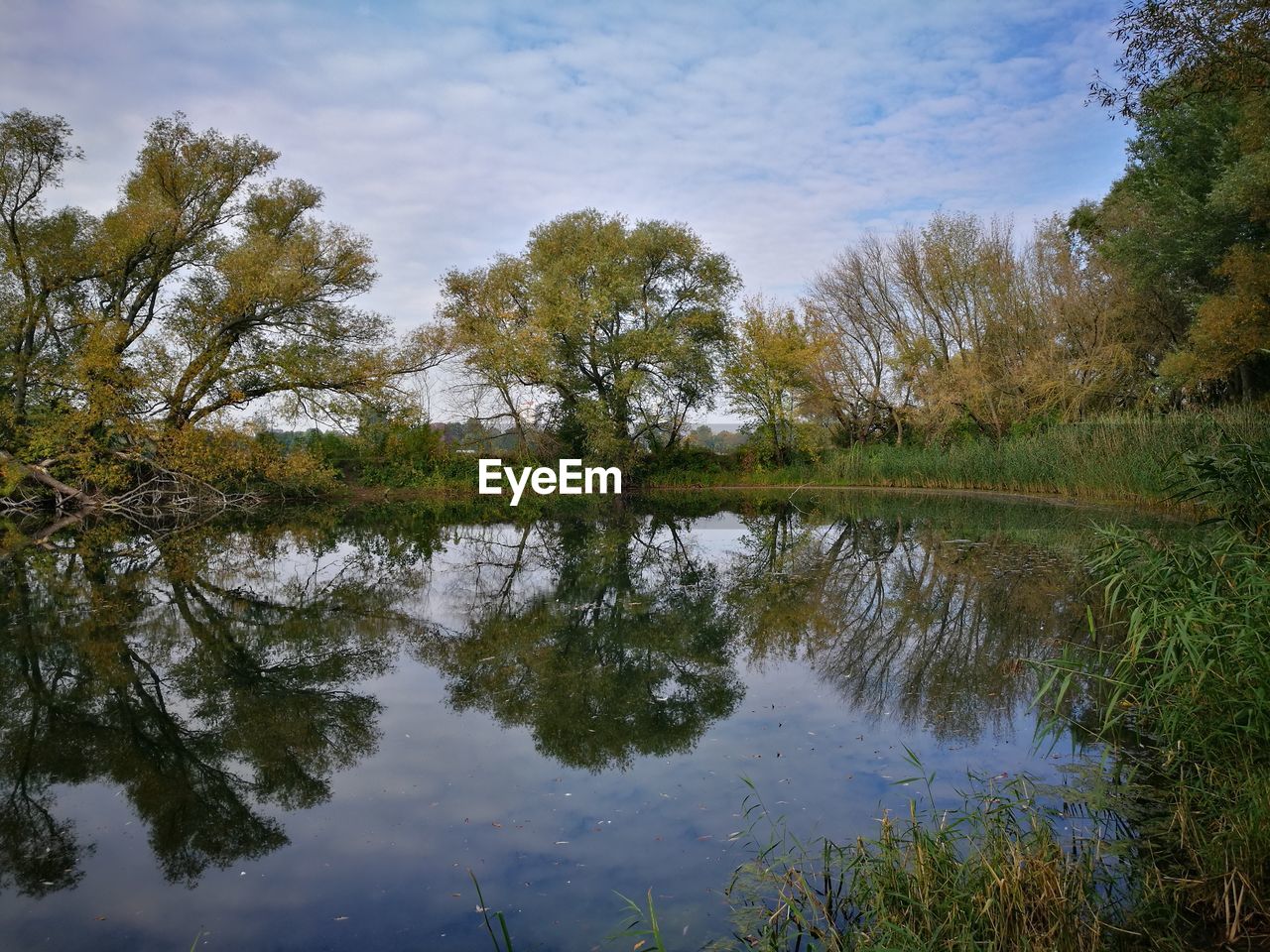 Reflection of trees in lake against sky