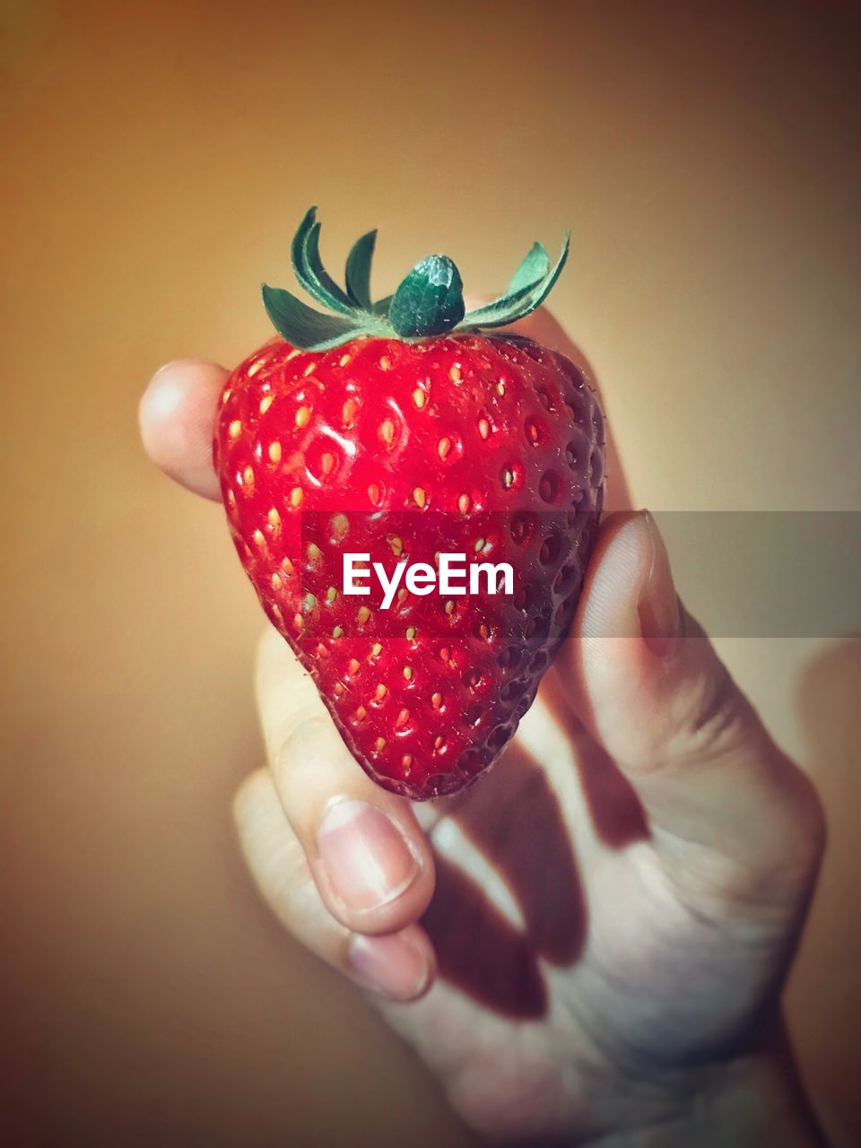 CLOSE-UP OF STRAWBERRIES ON HAND HOLDING STRAWBERRY