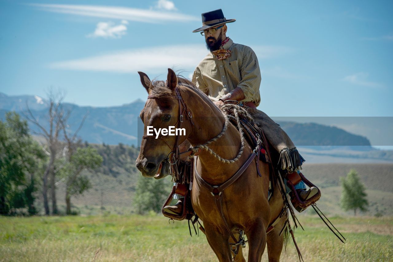 Full length of man horseback riding on field during sunny day