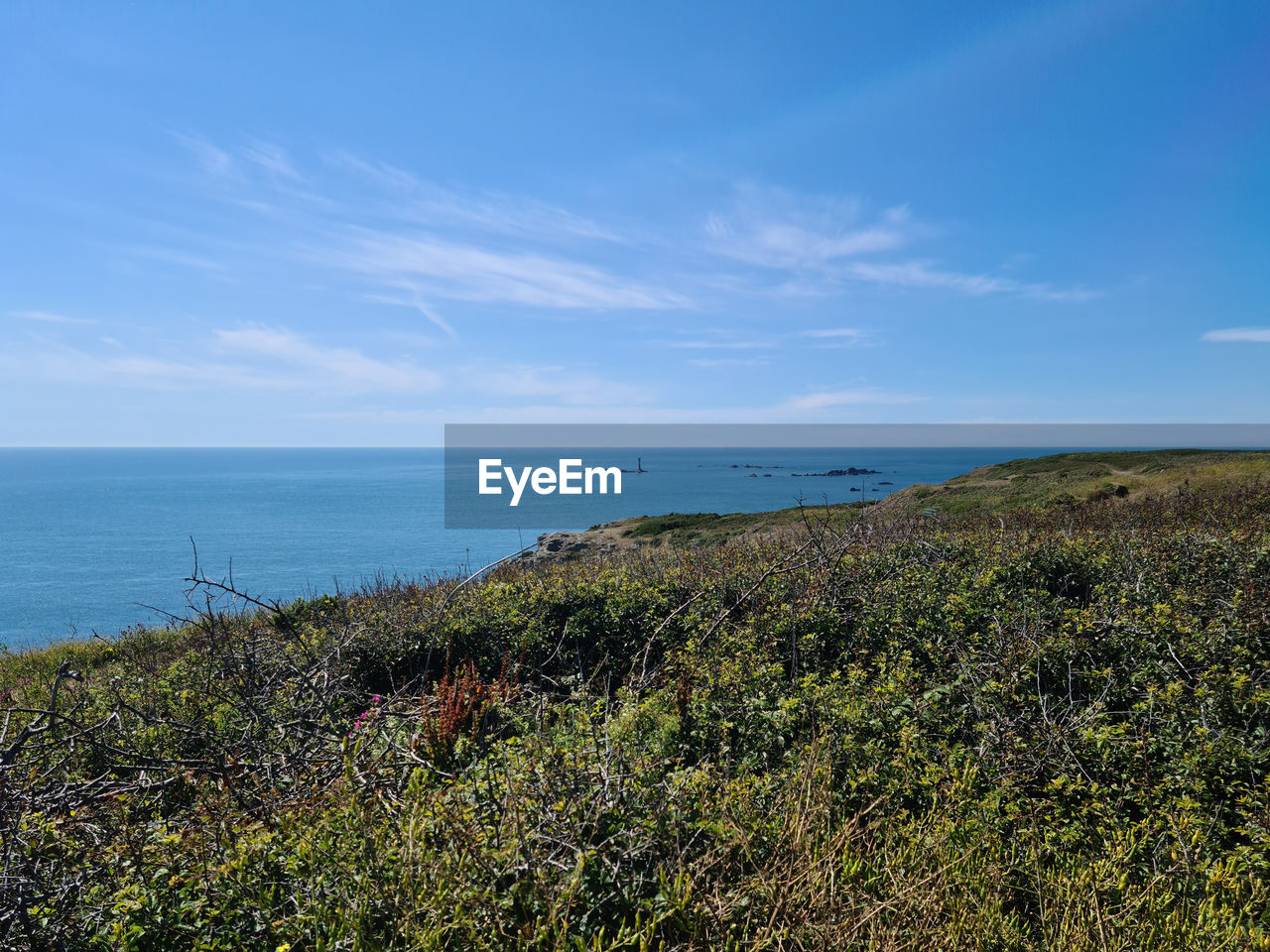 SCENIC VIEW OF BEACH AGAINST BLUE SKY