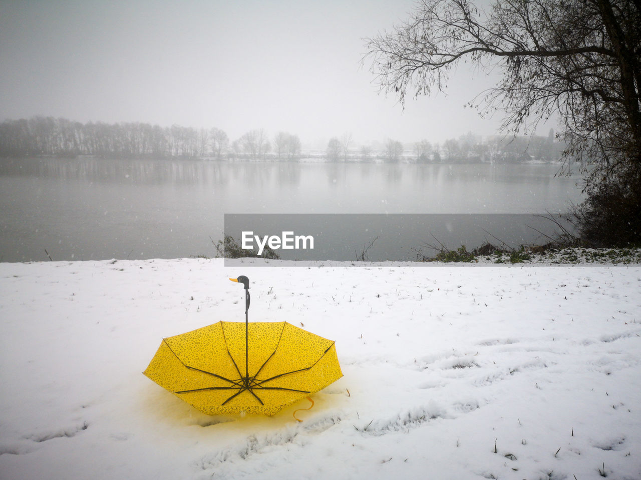 Yellow umbrella and white snow