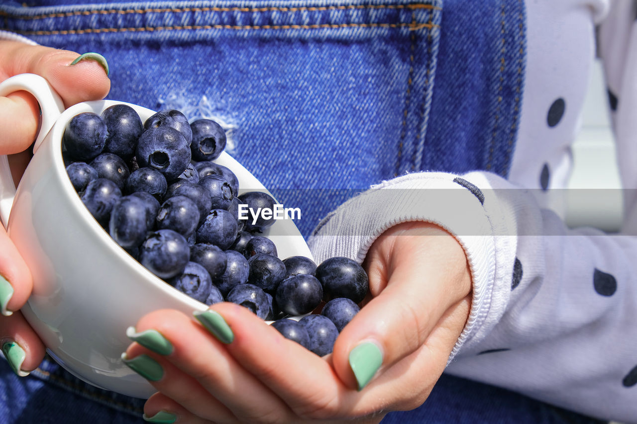 Woman holding bowl with fresh blueberries. harvesting concept. female hands collecting berries. 
