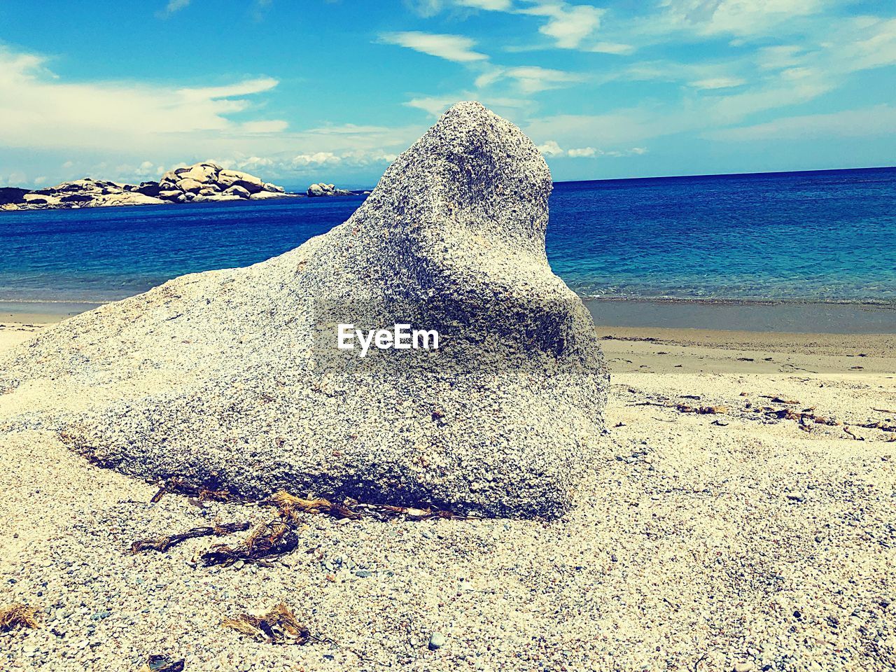 DRIFTWOOD ON BEACH