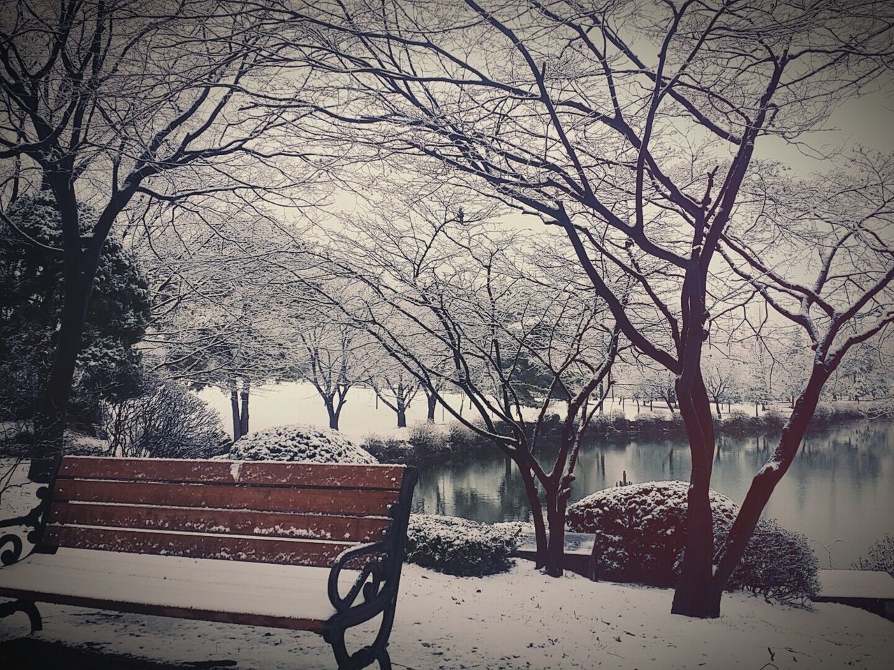 Empty bench on snow covered landscape