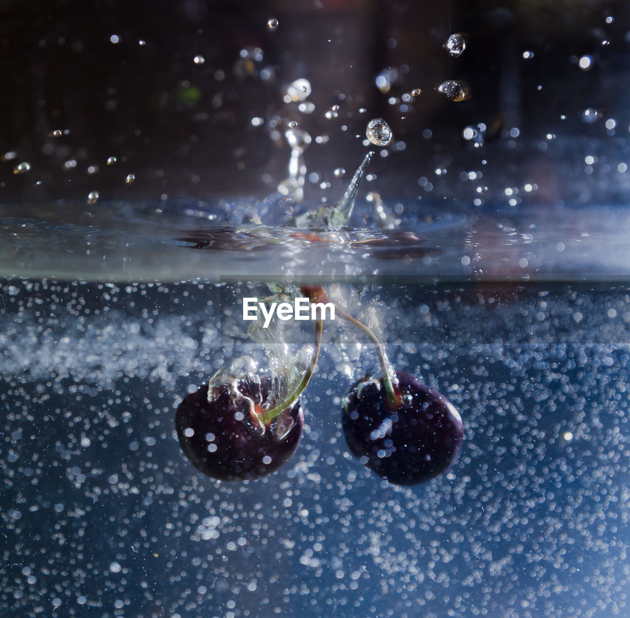 Close-up of berries in water