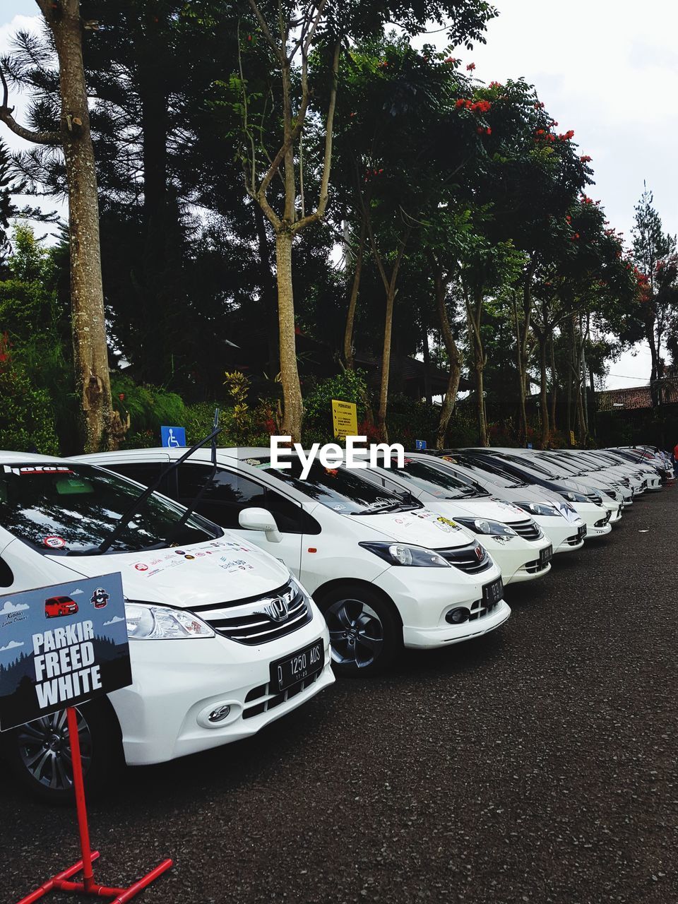 CARS PARKED ON STREET IN CITY