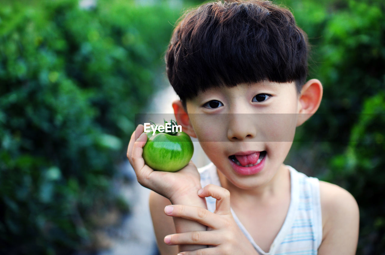 Portrait of boy holding tomato while standing against plants