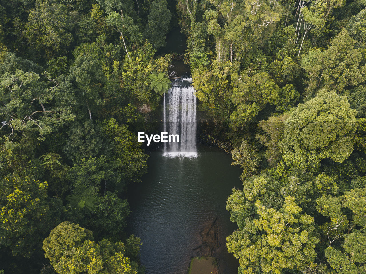 Aerial shot of millaa millaa falls sourranded by lush green forest in tropical queensland, australia