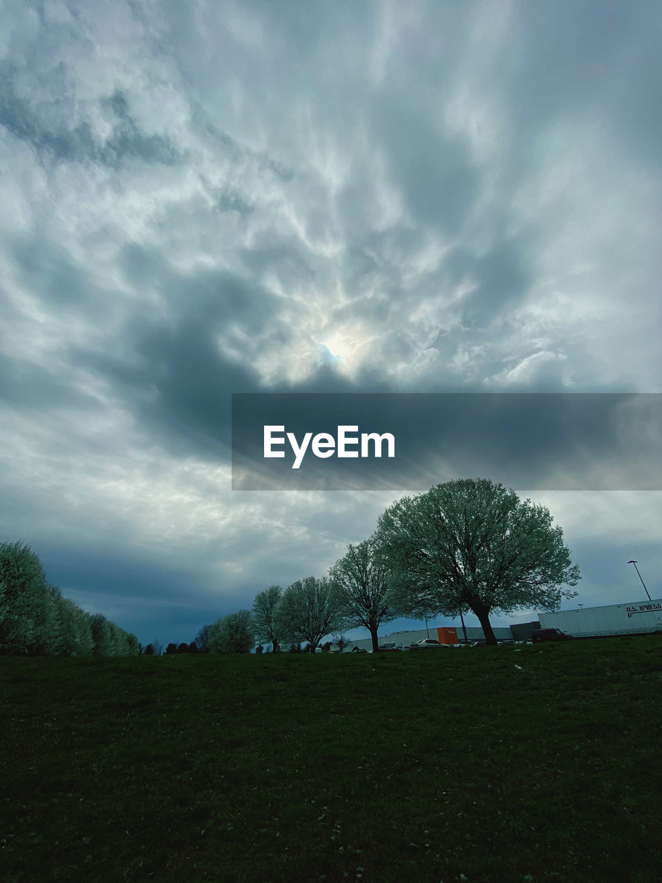 TREES ON FIELD AGAINST SKY