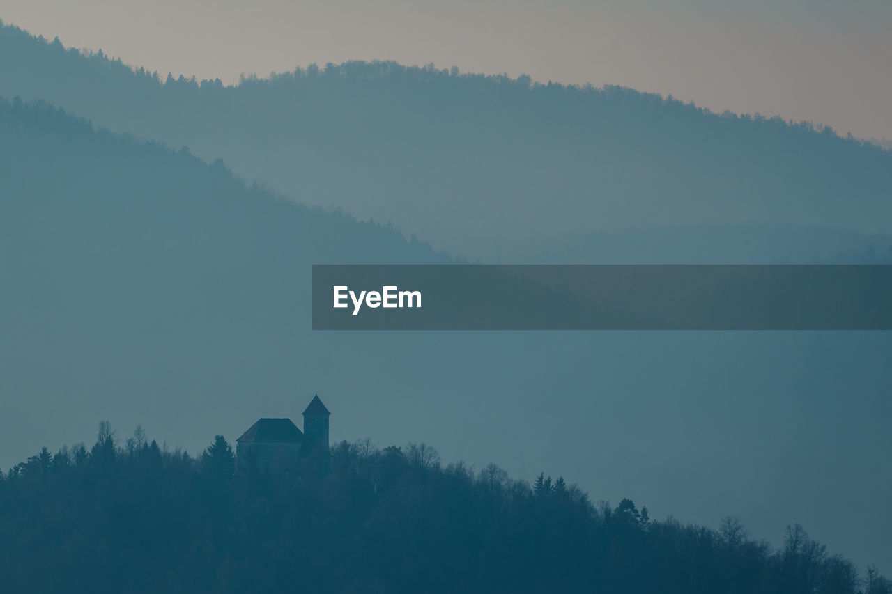 TREES ON MOUNTAIN AGAINST SKY