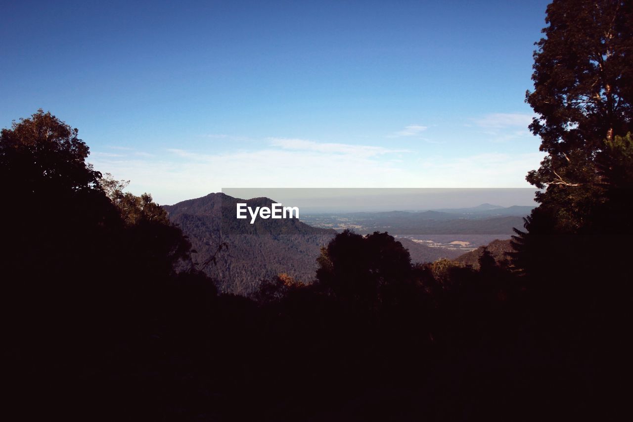 Trees and mountains against blue sky