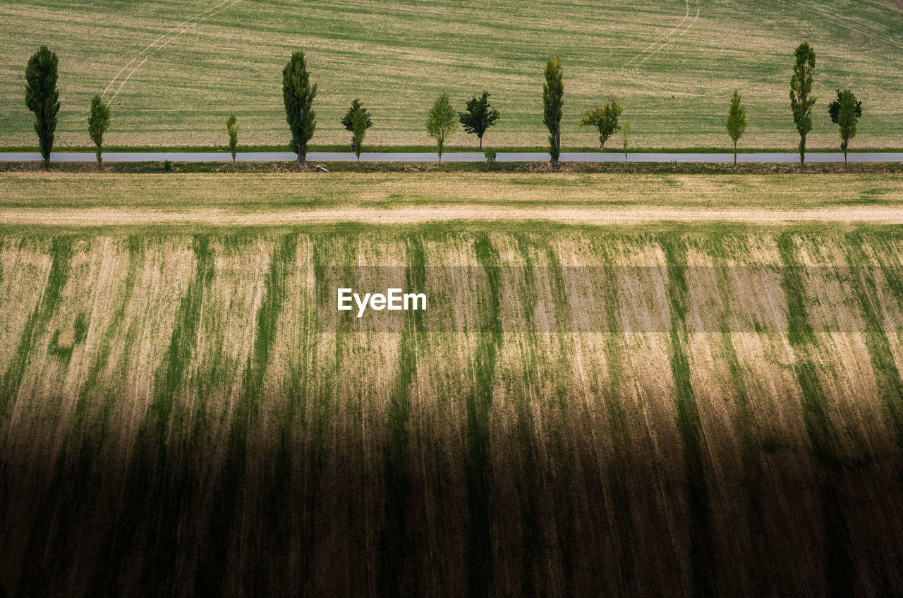 Scenic view of agricultural field