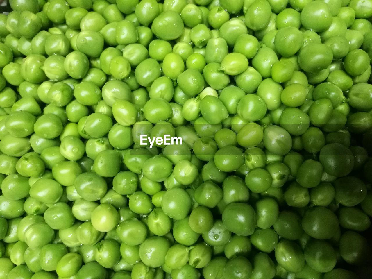 FULL FRAME SHOT OF GREEN WATER IN CONTAINER