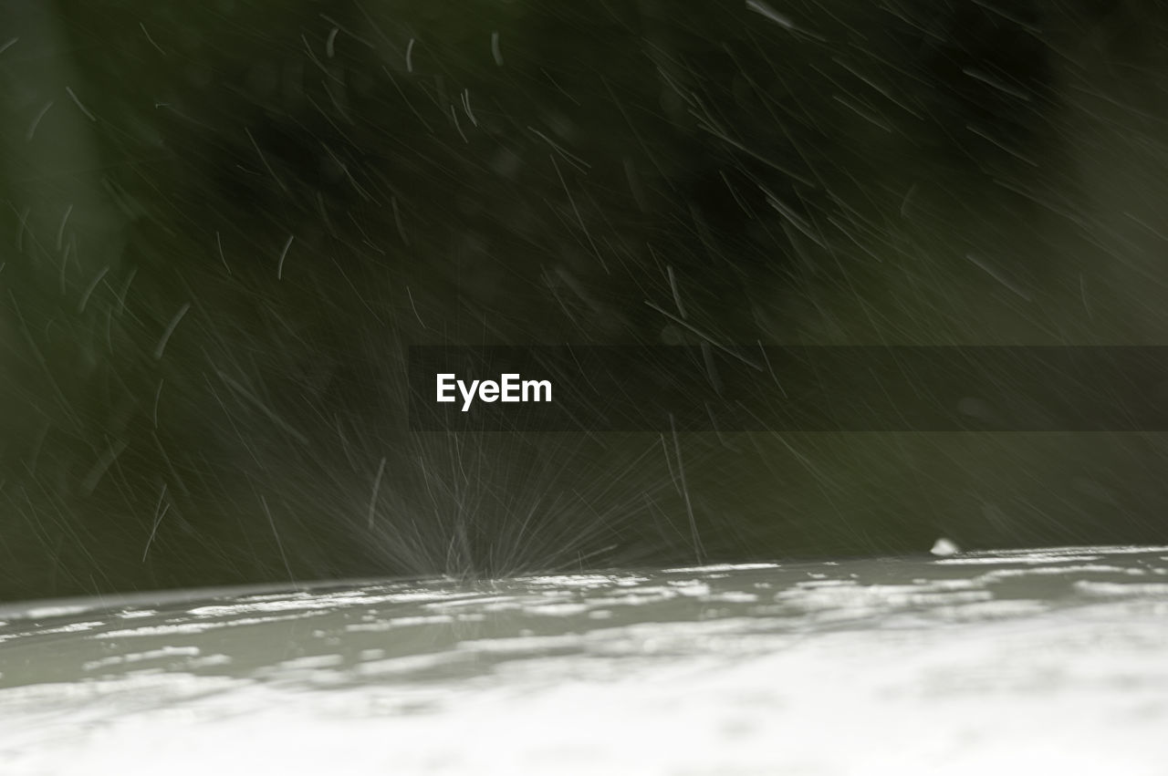 CLOSE-UP OF WATER ON LEAF