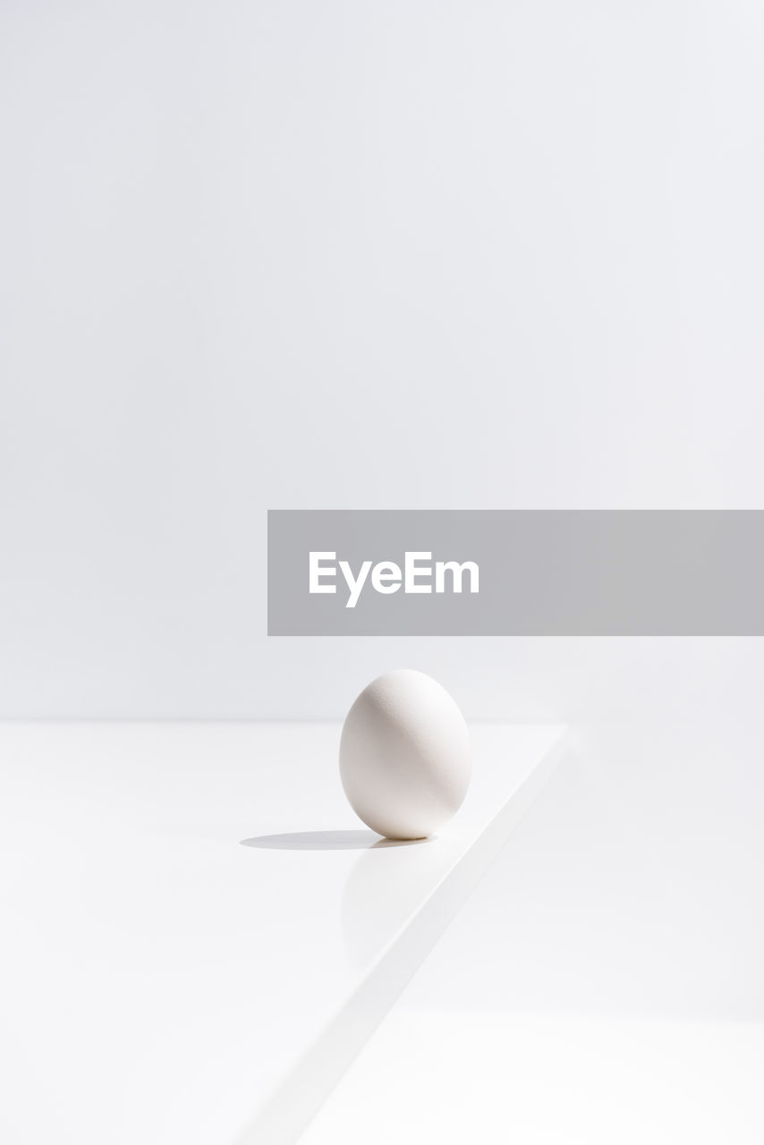 Fresh egg placed on table on white background in studio in minimal style