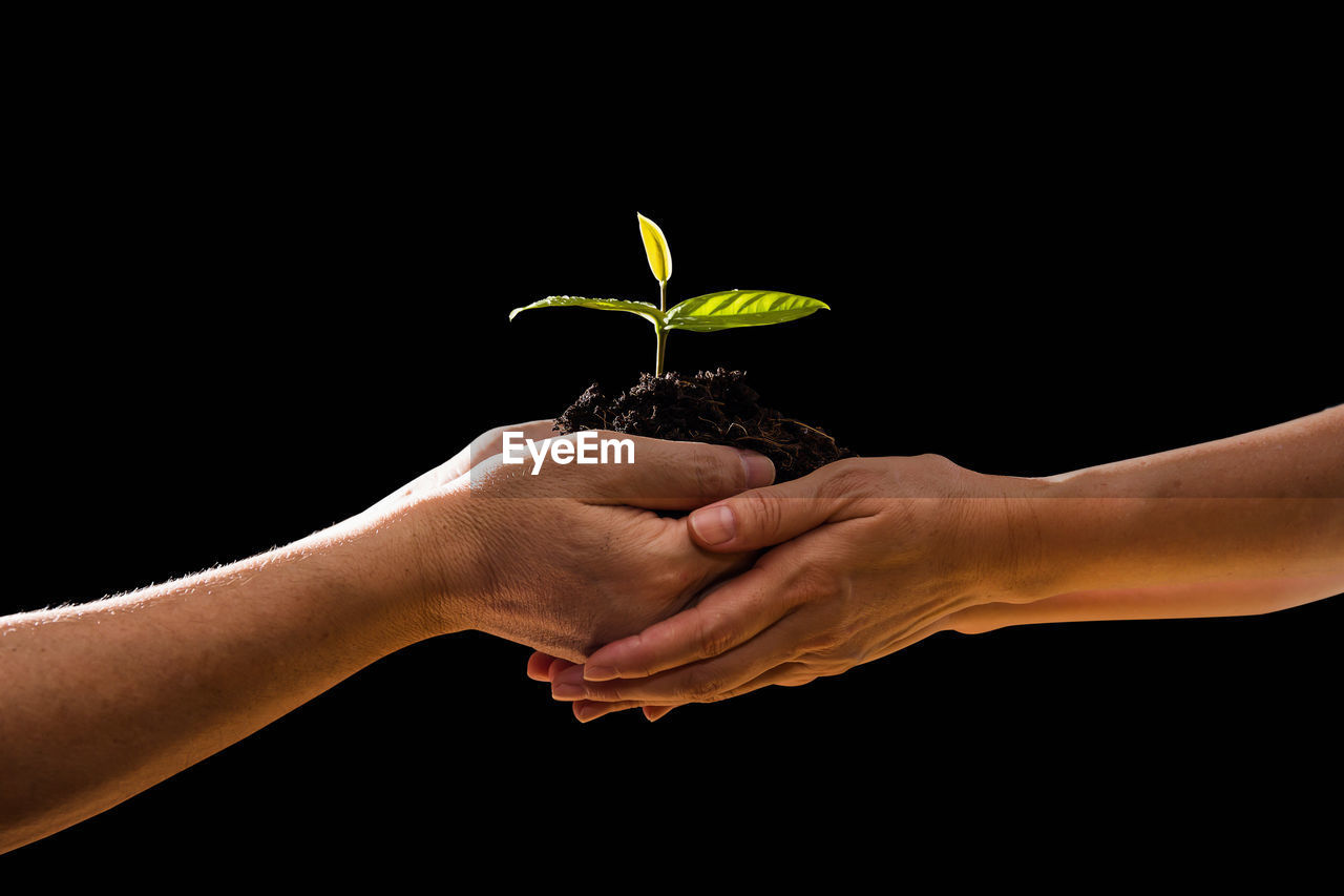 Cropped image of hand giving seedling to person against black background