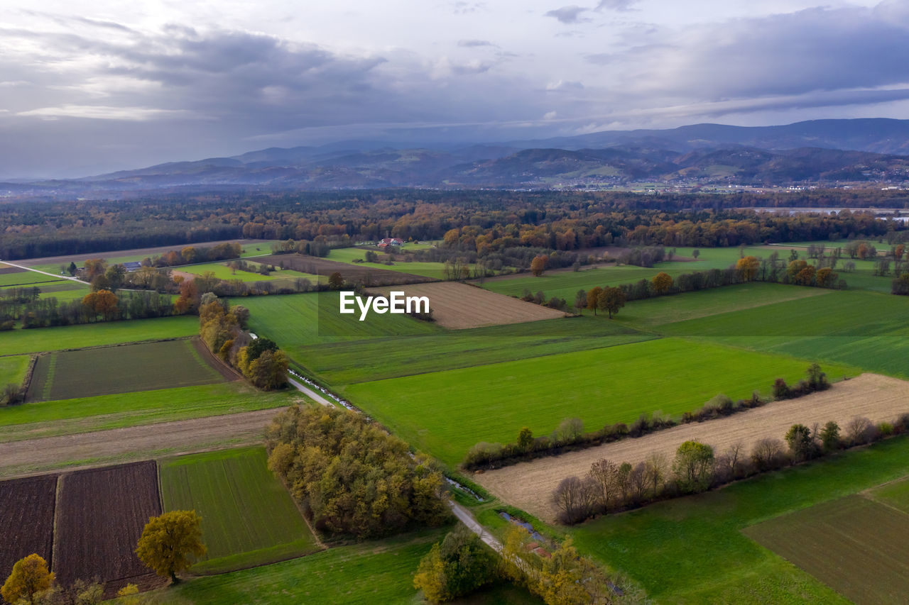 SCENIC VIEW OF FARMS AGAINST SKY