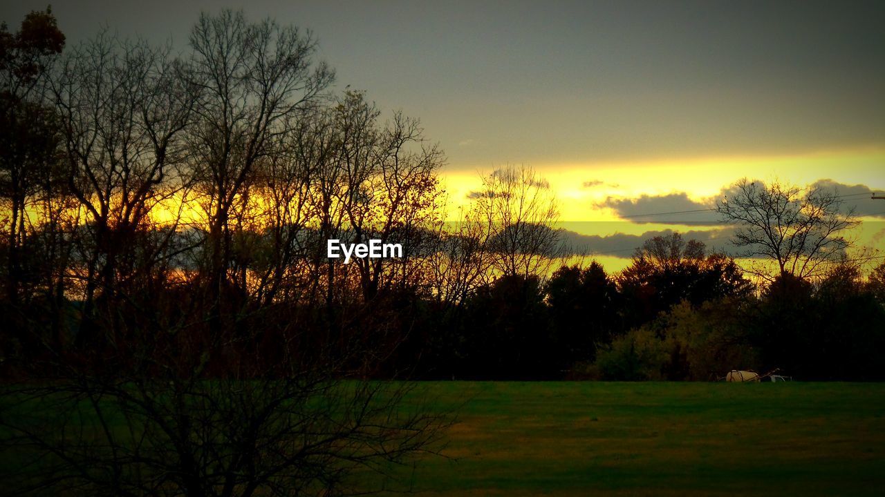 SILHOUETTE OF TREES ON LANDSCAPE AT SUNSET