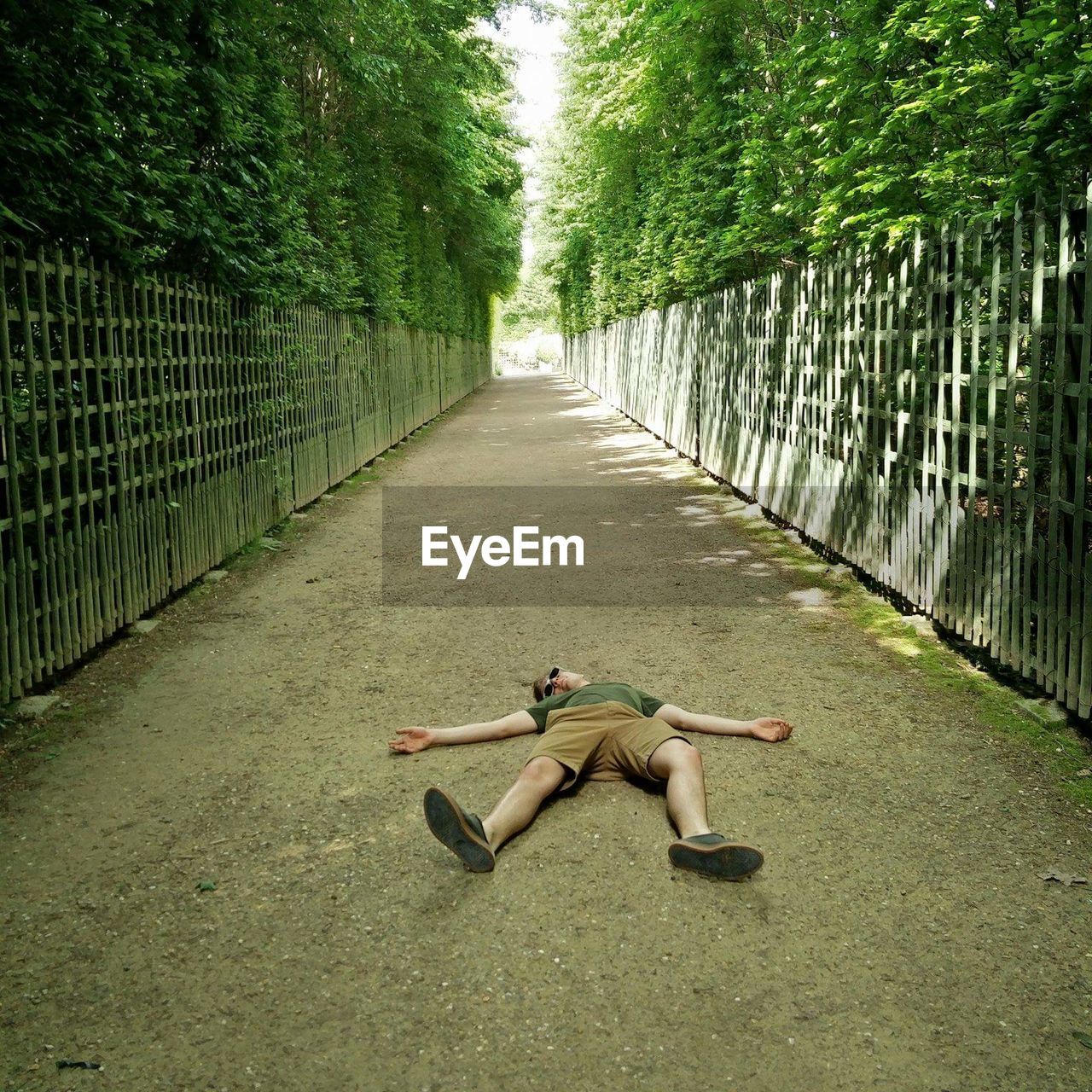 Full length of man lying on footpath amidst trees at park