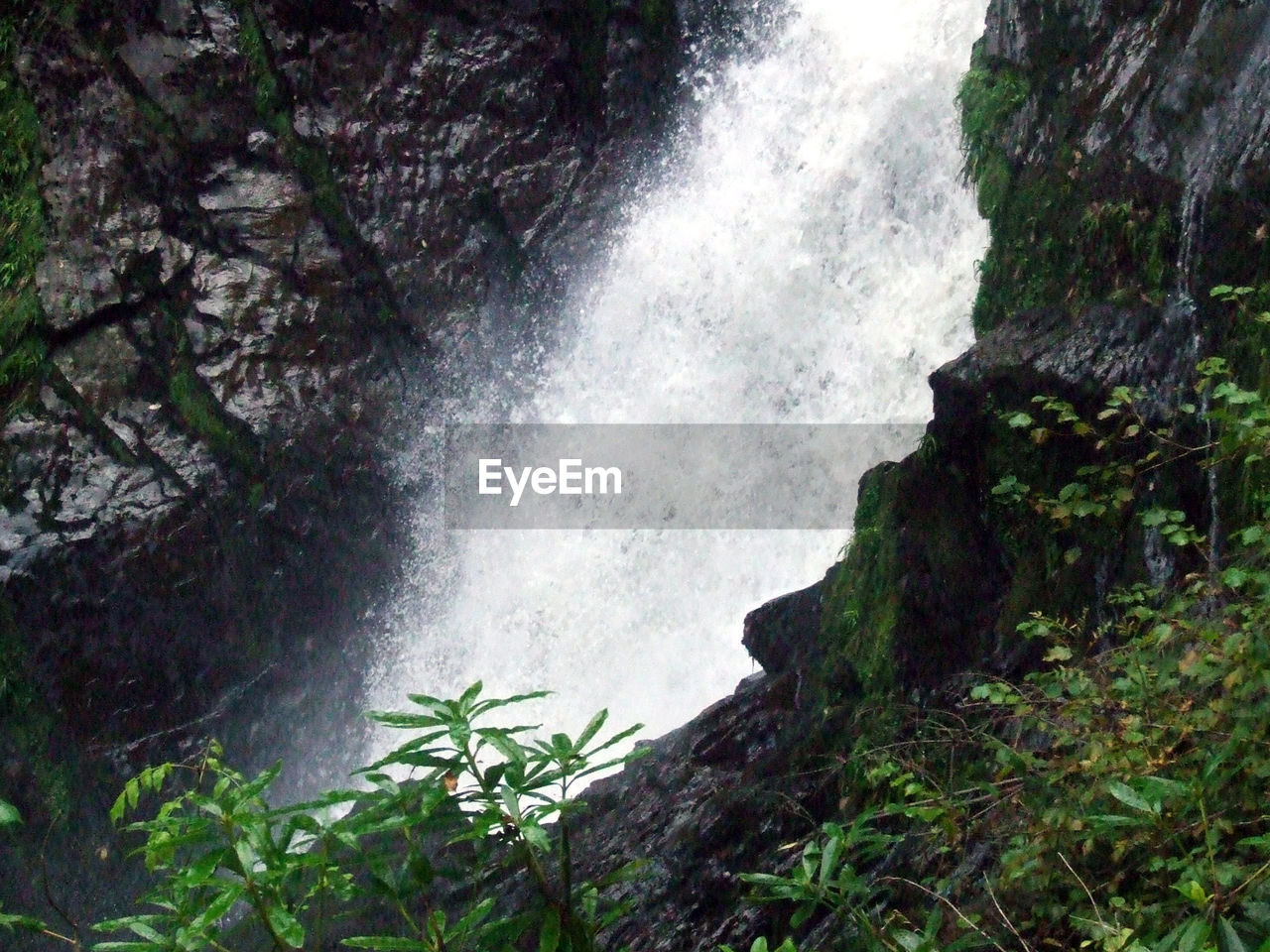 LOW ANGLE VIEW OF WATERFALL ON FOREST