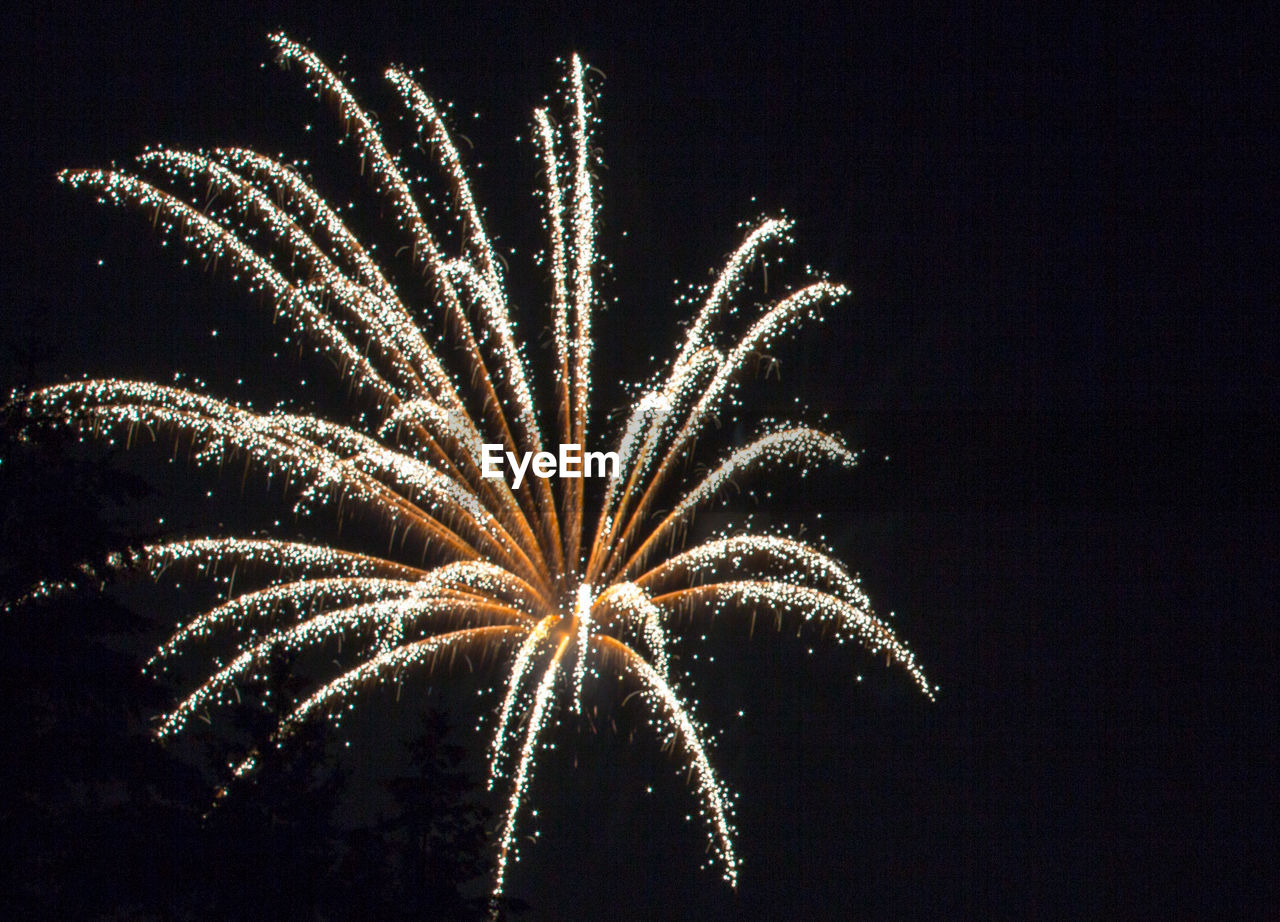 Low angle view of firework display at night