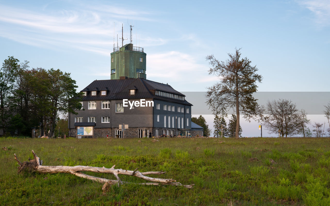 TREES GROWING ON FIELD AGAINST BUILDING