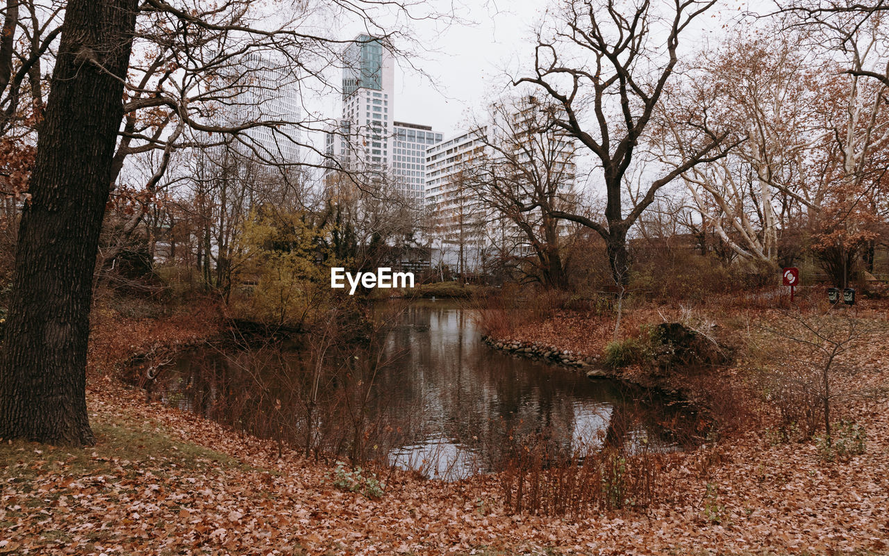 Bare trees and lake in forest during rainy season with buildings in the background