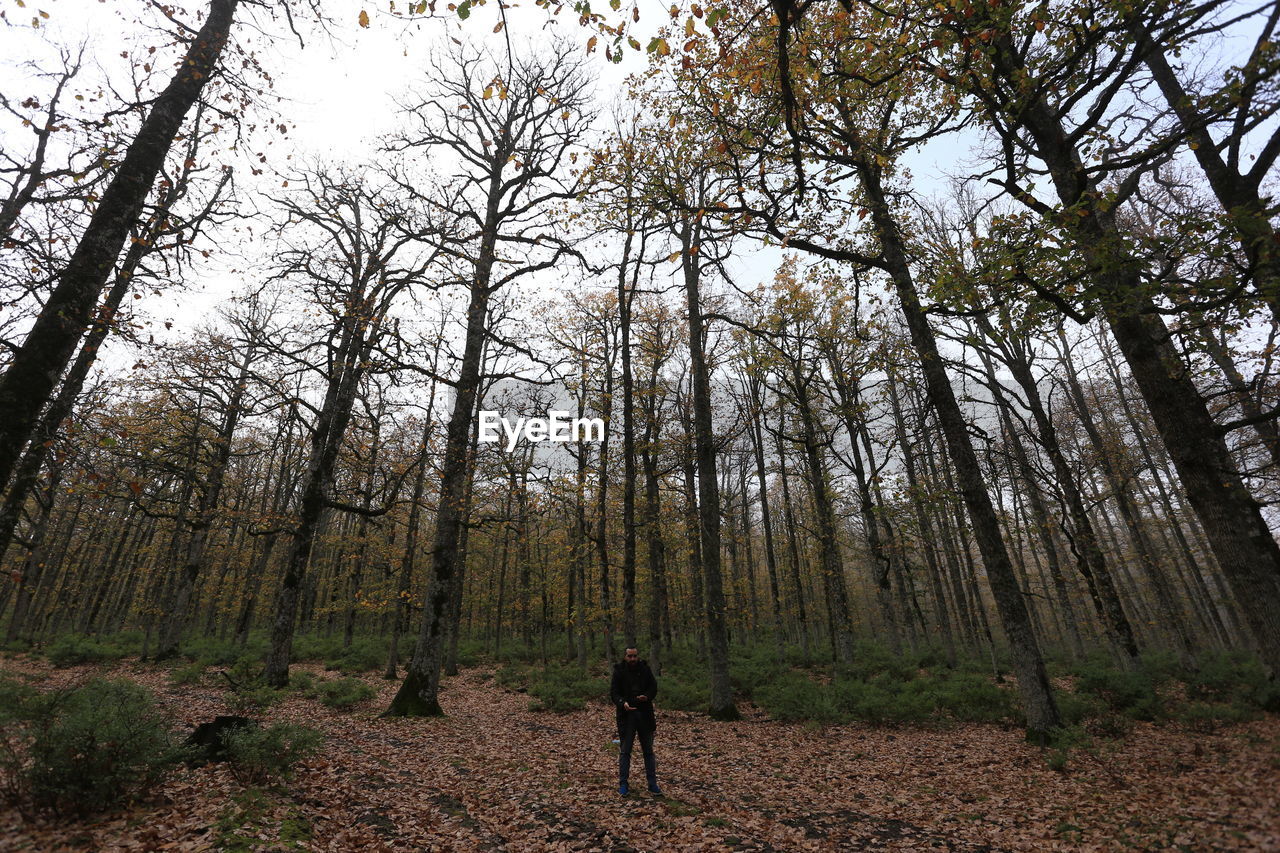 MAN STANDING BY TREE IN FOREST