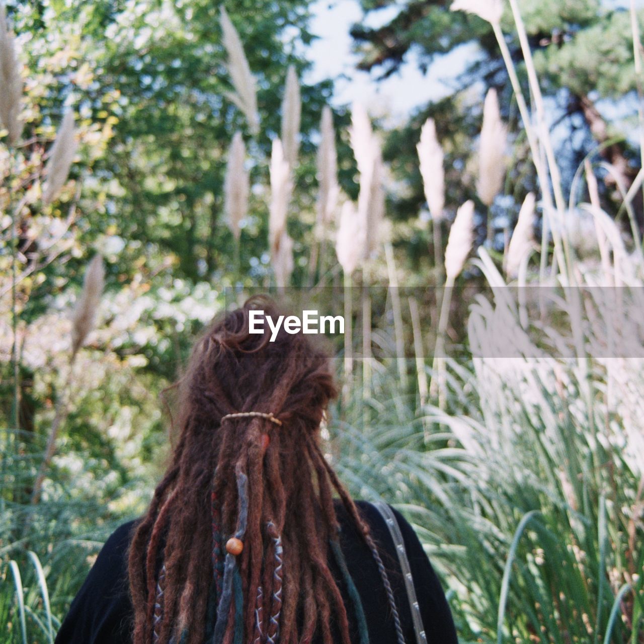 REAR VIEW OF WOMAN WITH PLANTS IN FOREST