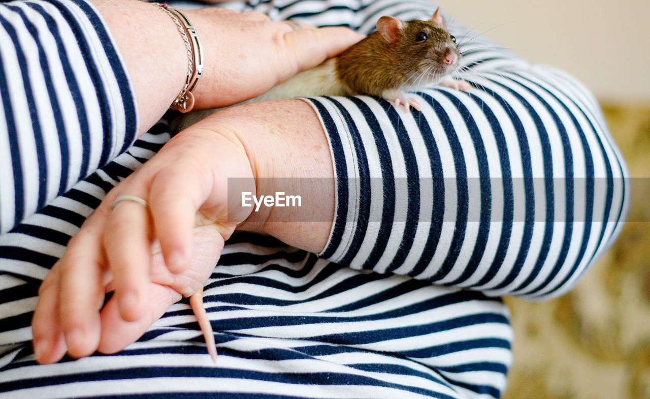 Midsection of mature woman holding rat