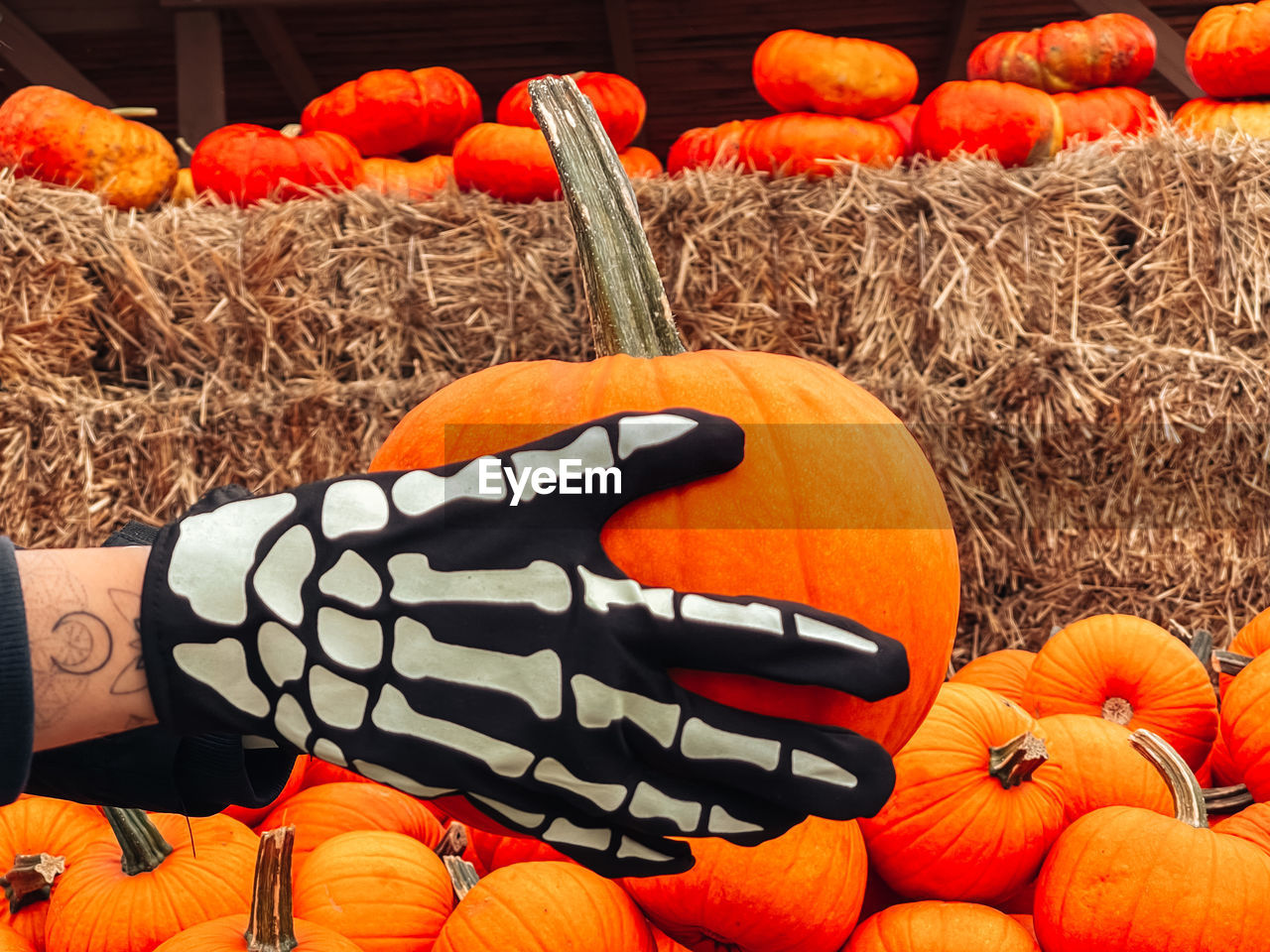 Close-up of cropped hands holding pumpkin