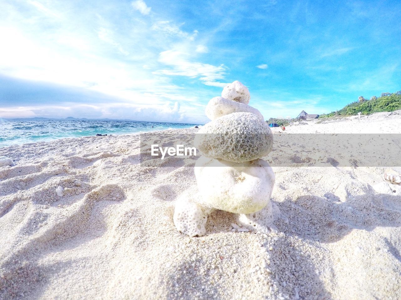 View of crab on beach against sky