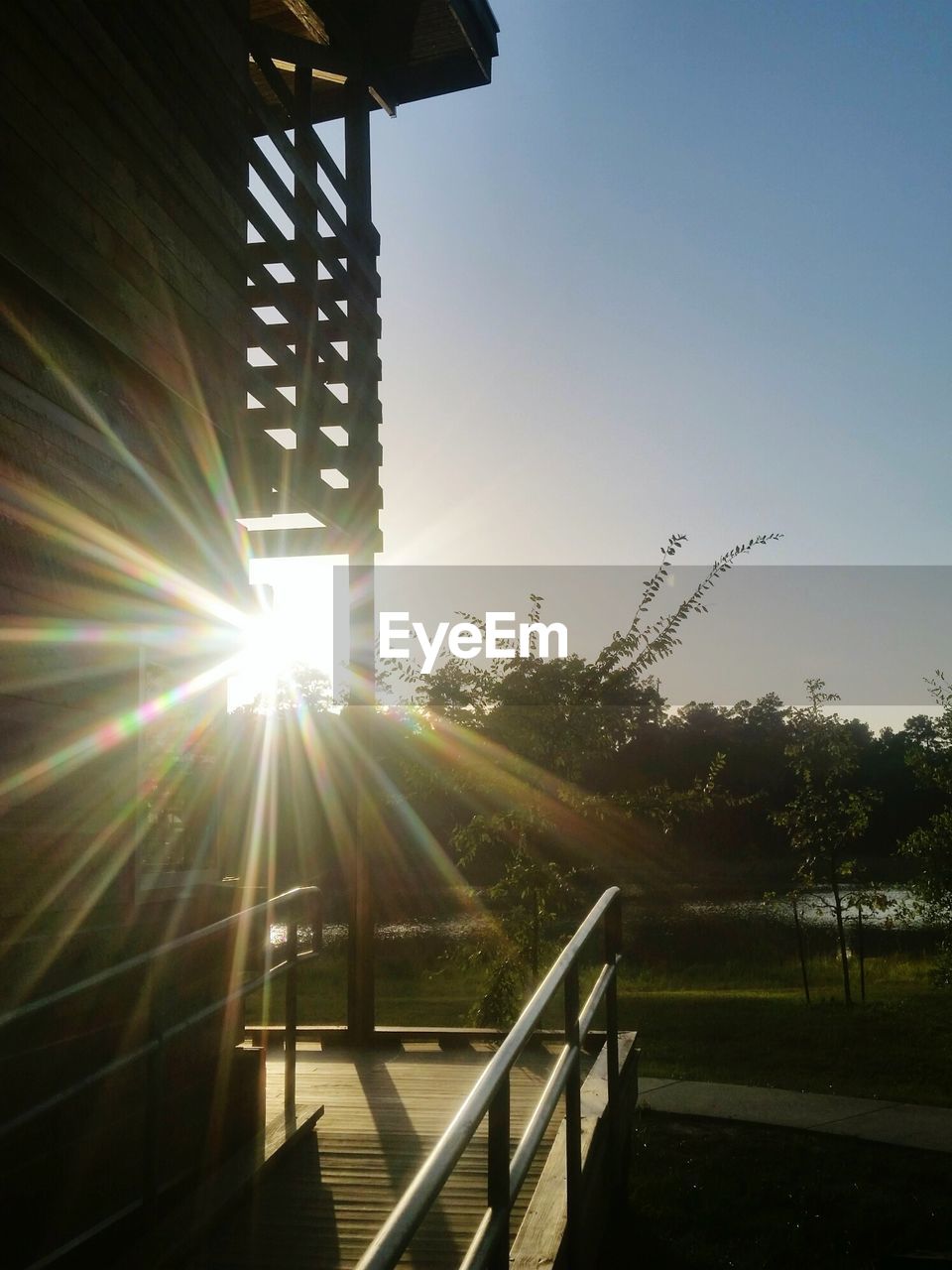 SUN SHINING THROUGH TREES IN PARK