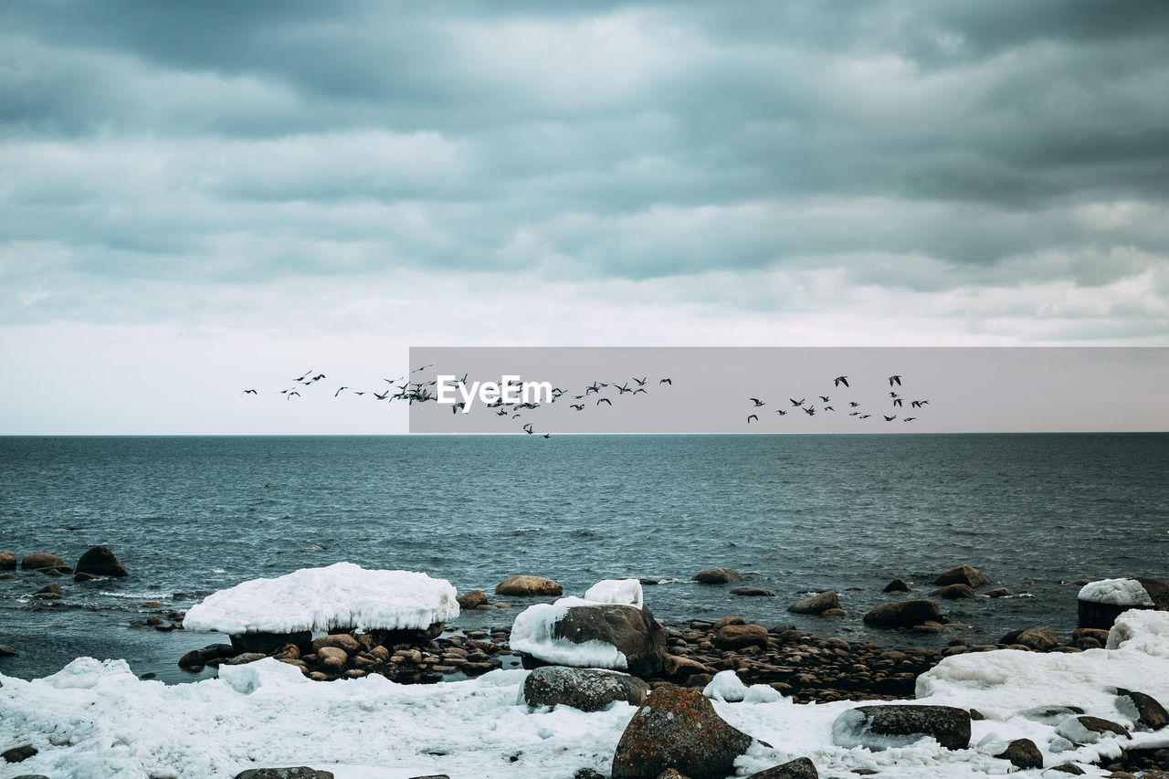 Flock of birds flying over sea against cloudy sky