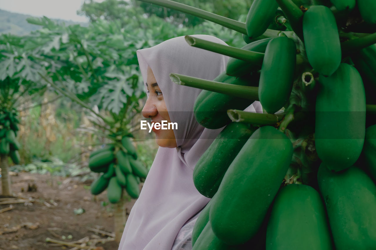 Close-up of woman holding green plant