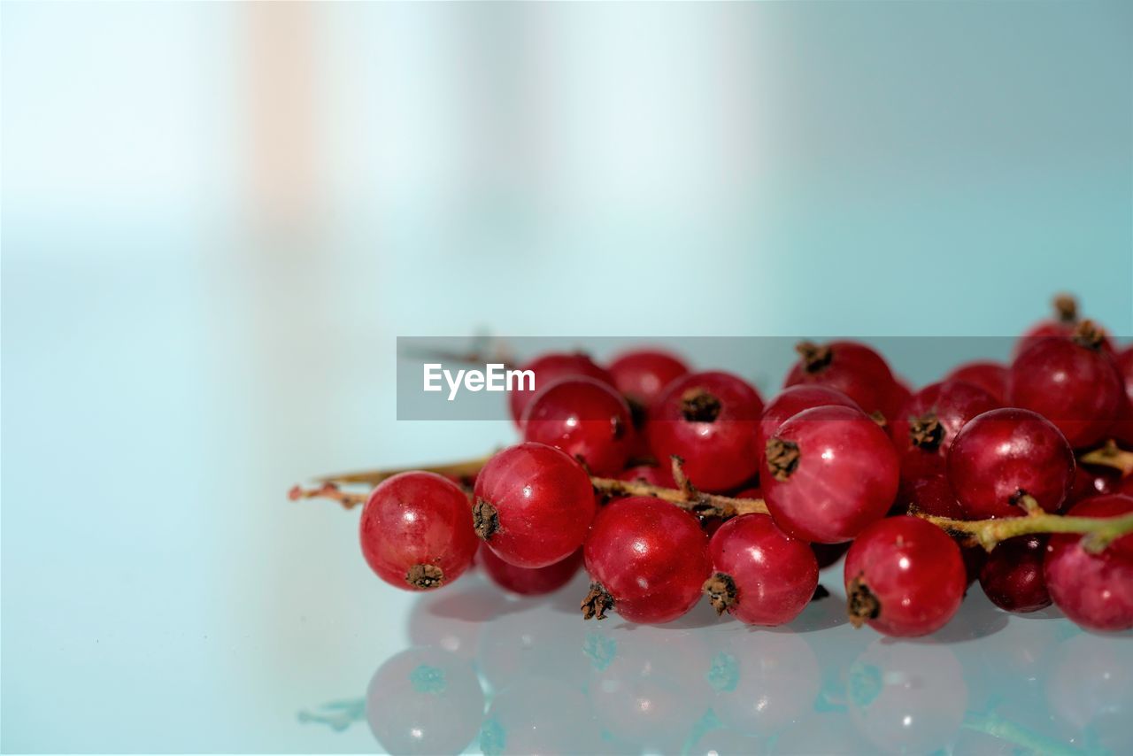 CLOSE-UP OF CHERRIES IN WATER