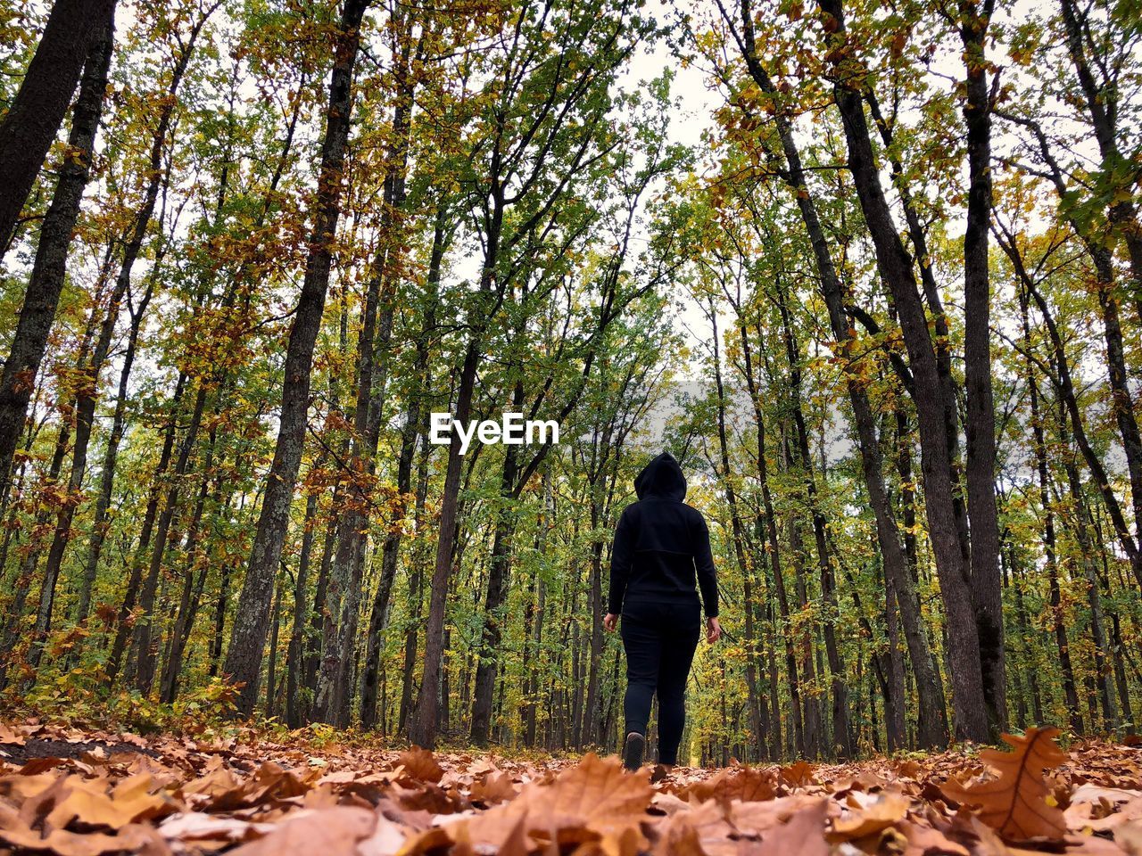 Back of woman wearing black tracksuit with hoodie standing alone in the middle of the forest 