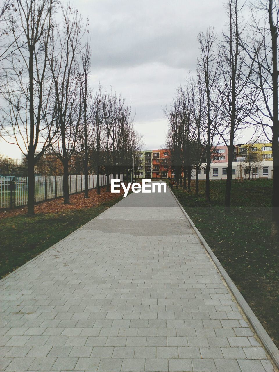 Empty footpath amidst trees leading towards building against sky