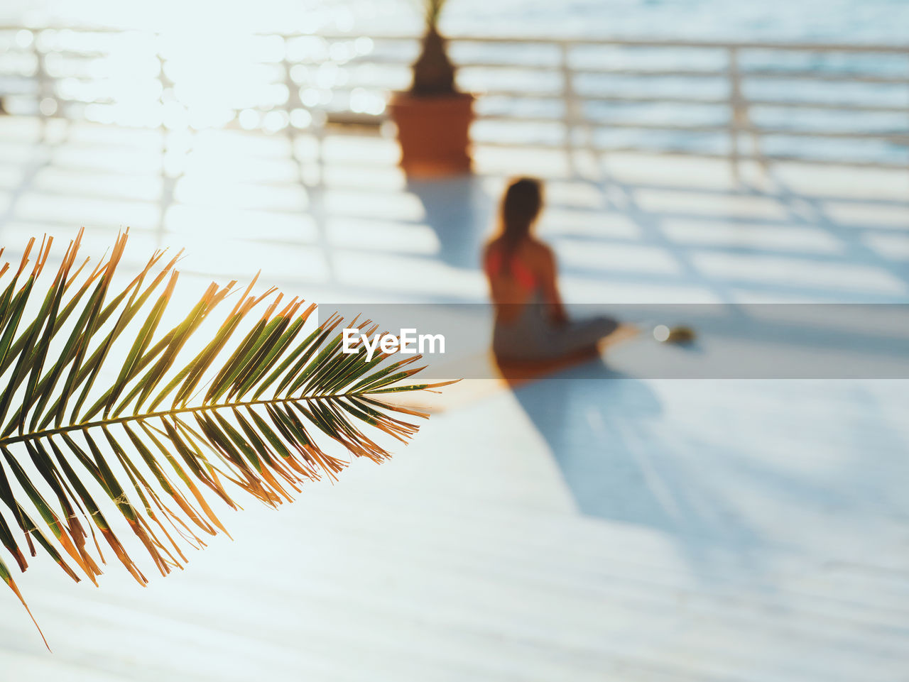 High angle view of woman sitting on promenade while palm leaf in foreground