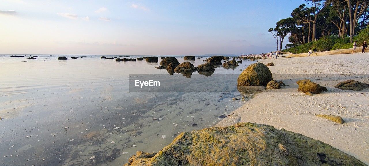 water, sea, shore, land, coast, sky, beach, body of water, nature, rock, ocean, beauty in nature, scenics - nature, sand, tranquility, wave, bay, tranquil scene, environment, travel destinations, no people, tropical climate, coastline, tree, outdoors, vacation, travel, day, sunlight, cloud, plant, horizon over water, landscape, animal, idyllic, palm tree, holiday, non-urban scene, trip, animal wildlife, sunset, animal themes, seascape