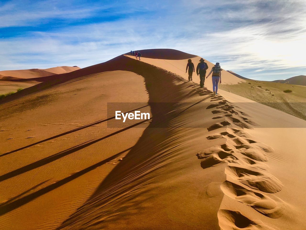 Rear view of friends walking on desert against sky