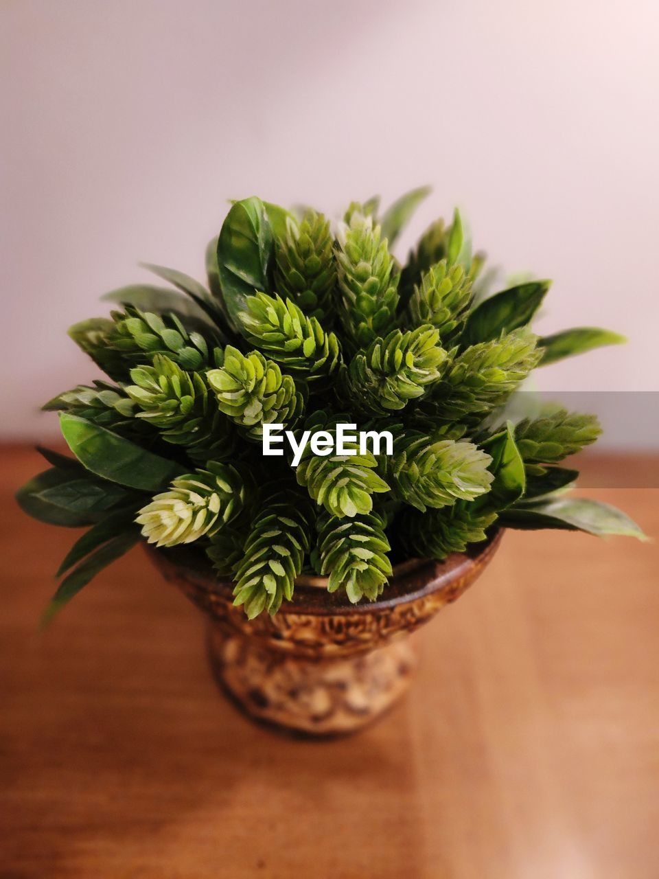 green, plant, floral design, floristry, indoors, nature, flower, no people, food and drink, freshness, wood, food, table, leaf, bouquet, plant part, wellbeing, close-up, houseplant, studio shot, healthy eating, vase, flowerpot, still life, potted plant, decoration, herb, beauty in nature