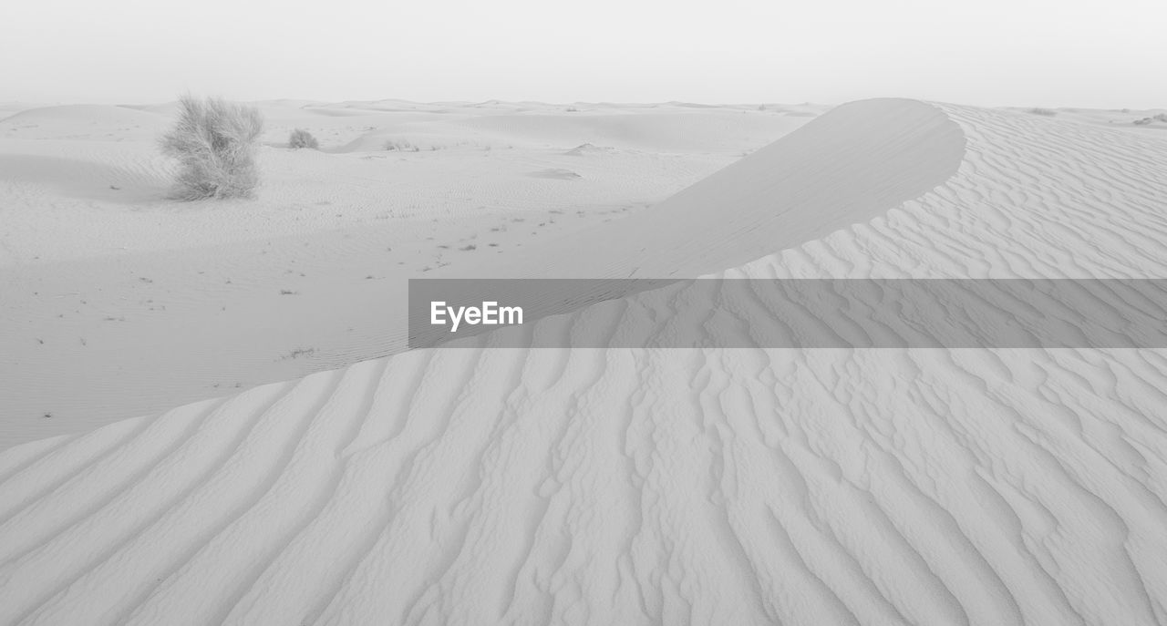 Sand dunes in desert