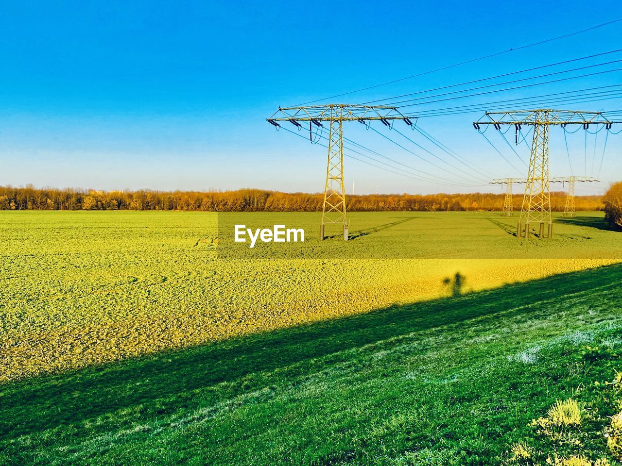 SCENIC VIEW OF FARM FIELD AGAINST SKY