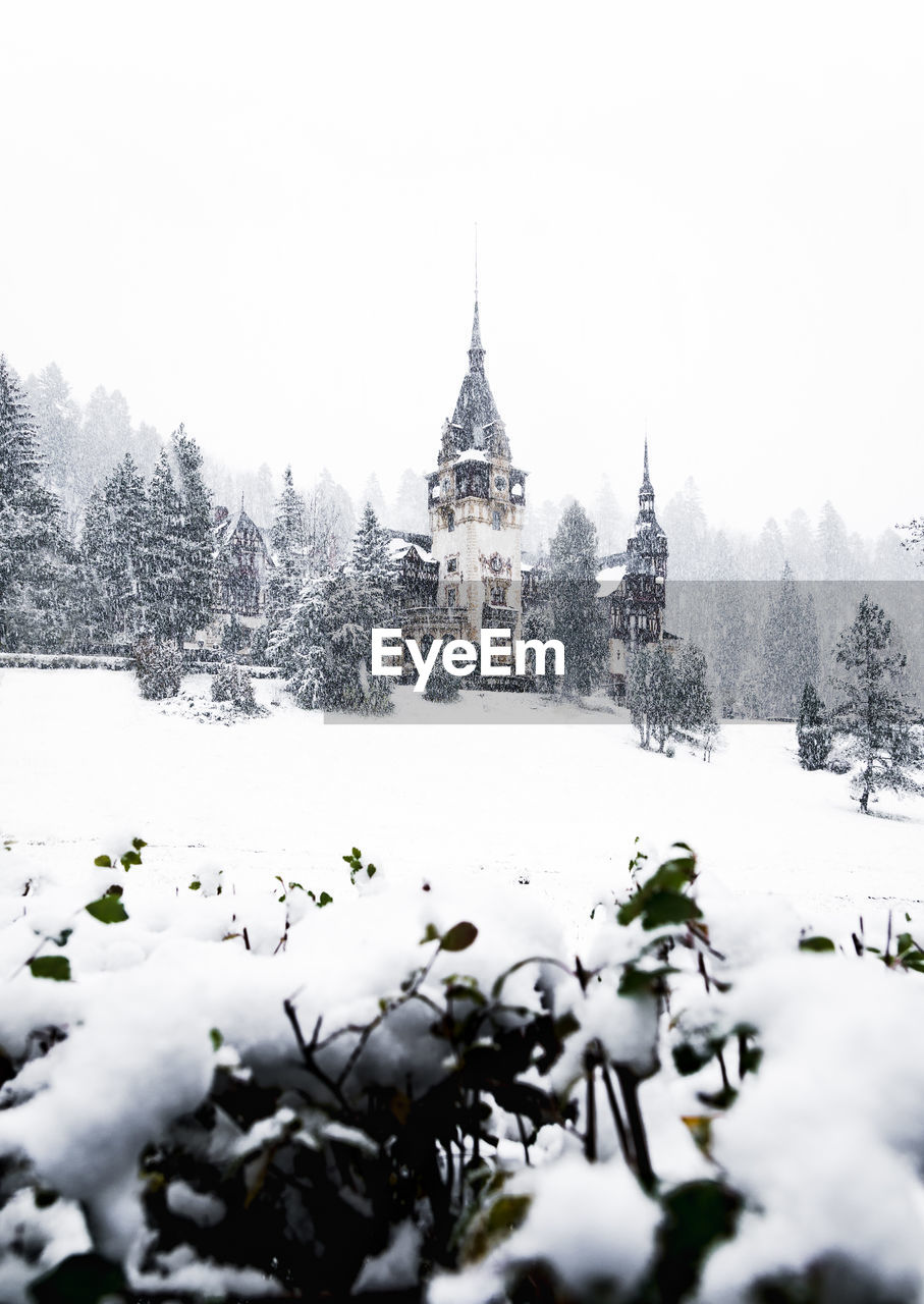 Snow covered plants and buildings against sky