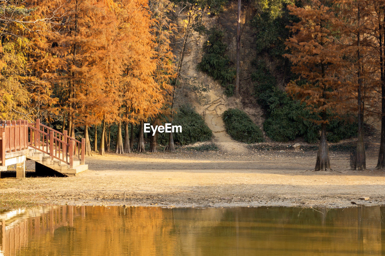 reflection, tree, autumn, water, plant, nature, morning, river, beauty in nature, leaf, tranquility, no people, orange color, waterfront, scenics - nature, tranquil scene, day, outdoors, architecture, landscape, land, environment, forest, growth, idyllic, built structure, plant part