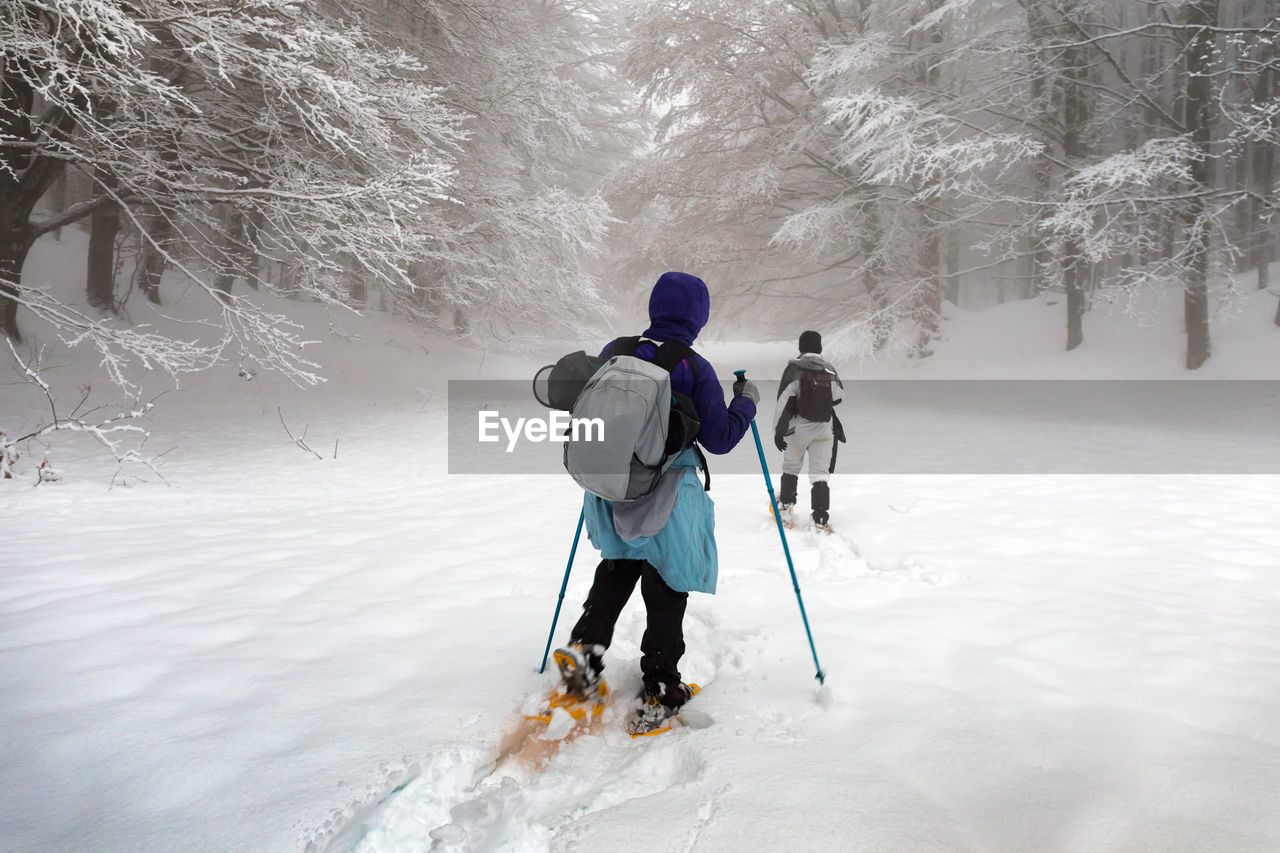 REAR VIEW OF FRIENDS ON SNOW